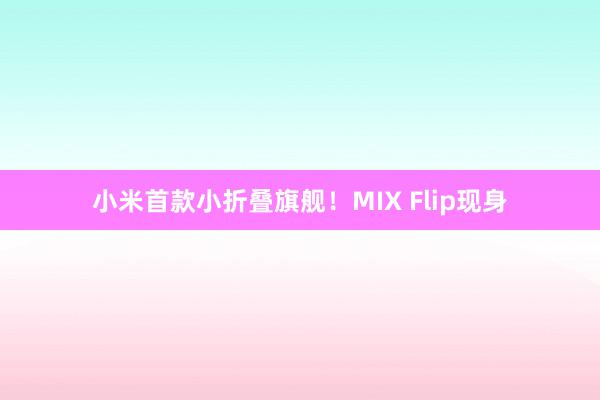 小米首款小折叠旗舰！MIX Flip现身