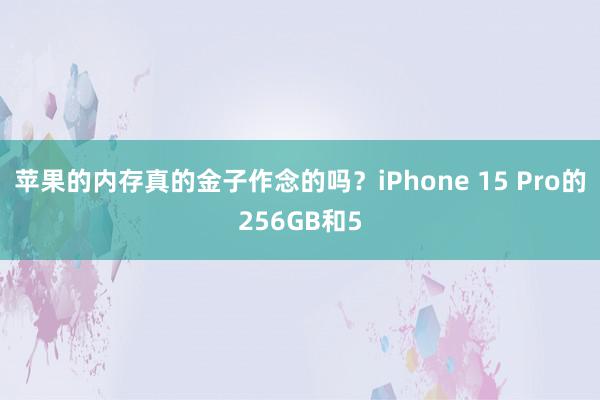 苹果的内存真的金子作念的吗？iPhone 15 Pro的256GB和5