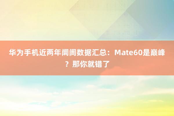 华为手机近两年阛阓数据汇总：Mate60是巅峰？那你就错了