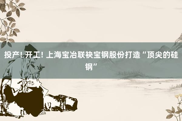 投产! 开工! 上海宝冶联袂宝钢股份打造“顶尖的硅钢”