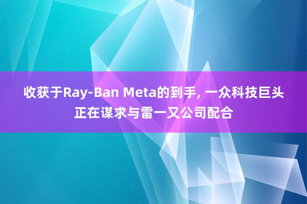 收获于Ray-Ban Meta的到手, 一众科技巨头正在谋求与雷一又公司配合