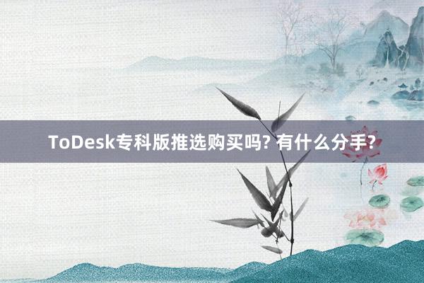 ToDesk专科版推选购买吗? 有什么分手?