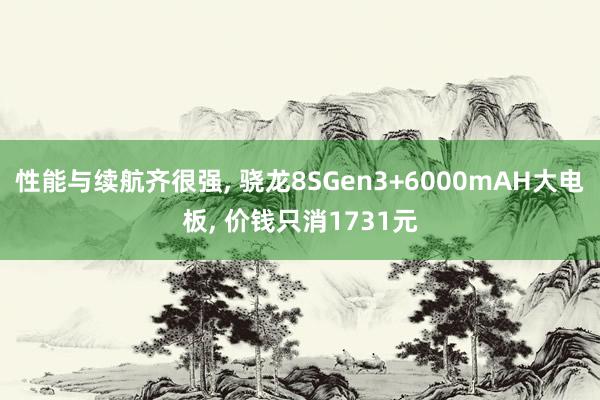 性能与续航齐很强, 骁龙8SGen3+6000mAH大电板, 价钱只消1731元