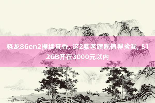 骁龙8Gen2捏续真香, 这2款老旗舰值得捡漏, 512GB齐在3000元以内