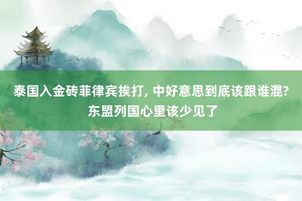 泰国入金砖菲律宾挨打, 中好意思到底该跟谁混? 东盟列国心里该少见了