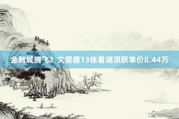 金融城腾飞？文儒德13栋看湖顶跃单价8.44万