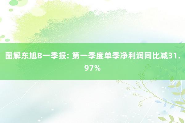 图解东旭B一季报: 第一季度单季净利润同比减31.97%