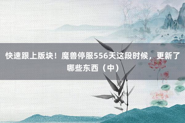 快速跟上版块！魔兽停服556天这段时候，更新了哪些东西（中）