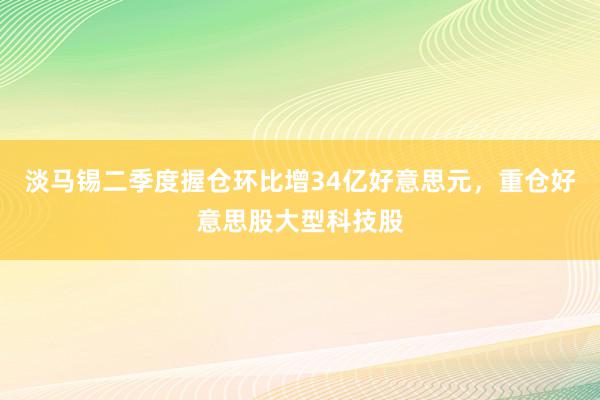 淡马锡二季度握仓环比增34亿好意思元，重仓好意思股大型科技股