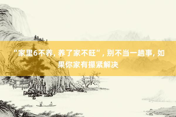 “家里6不养, 养了家不旺”, 别不当一趟事, 如果你家有攥紧解决