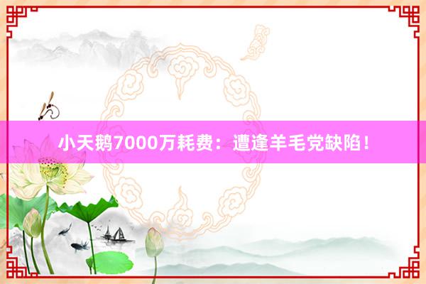 小天鹅7000万耗费：遭逢羊毛党缺陷！