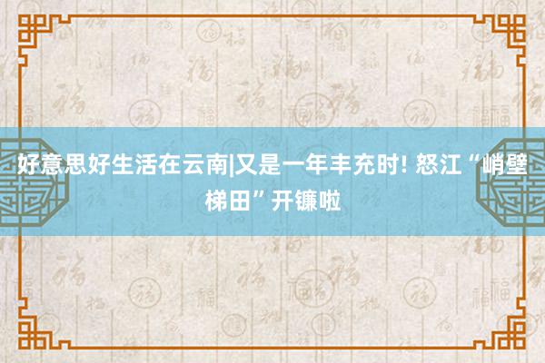 好意思好生活在云南|又是一年丰充时! 怒江“峭壁梯田”开镰啦