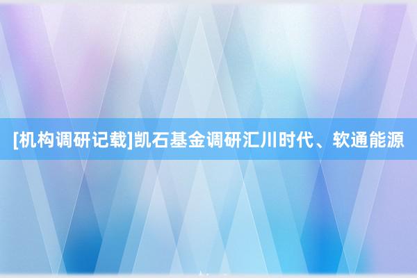 [机构调研记载]凯石基金调研汇川时代、软通能源