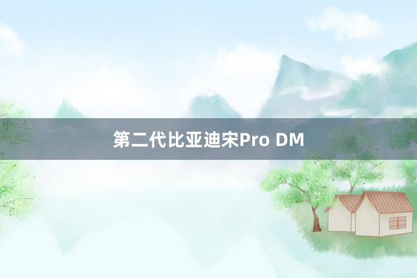 第二代比亚迪宋Pro DM