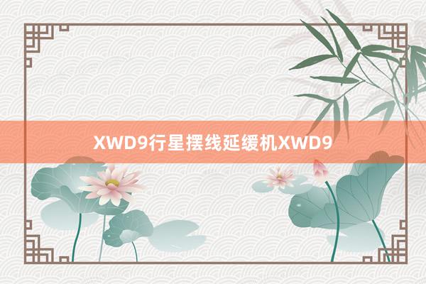 XWD9行星摆线延缓机XWD9