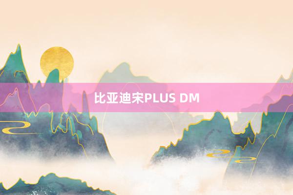 比亚迪宋PLUS DM