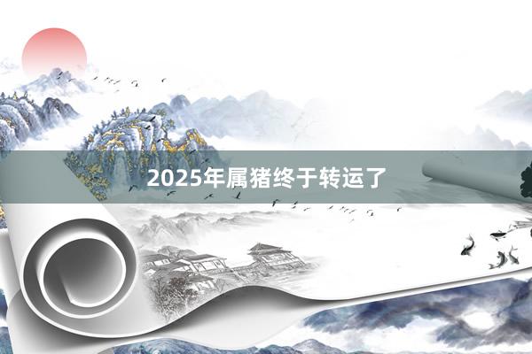 2025年属猪终于转运了