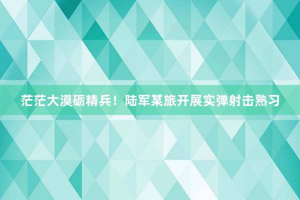 茫茫大漠砺精兵！陆军某旅开展实弹射击熟习