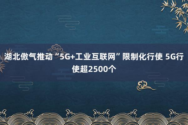 湖北傲气推动“5G+工业互联网”限制化行使 5G行使超2500个